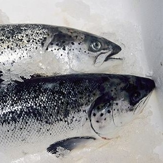 新發(fā)地三文魚案板檢測出新冠病毒，，北京多家超市連夜下架三文魚，北京新增三個病例
